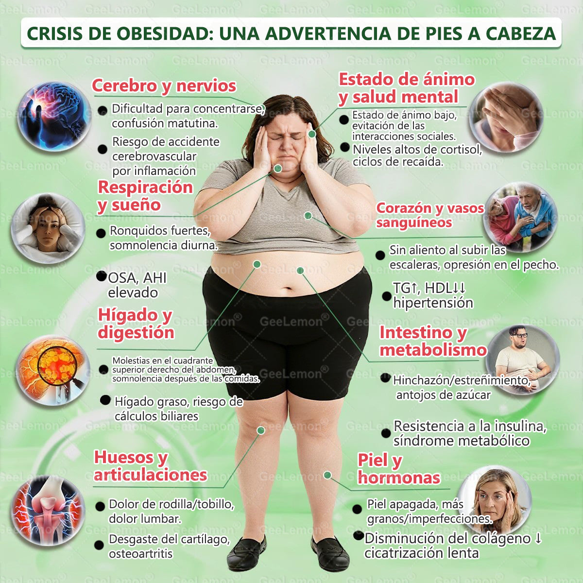 👇GeeLemon® tiene una mejora sorpresa solo para ti. Ya tenías una oferta increíble, pero ahora has desbloqueado una aún mejor: obtén un 50% de descuento en tu próxima compra, solo durante los próximos dos minutos.