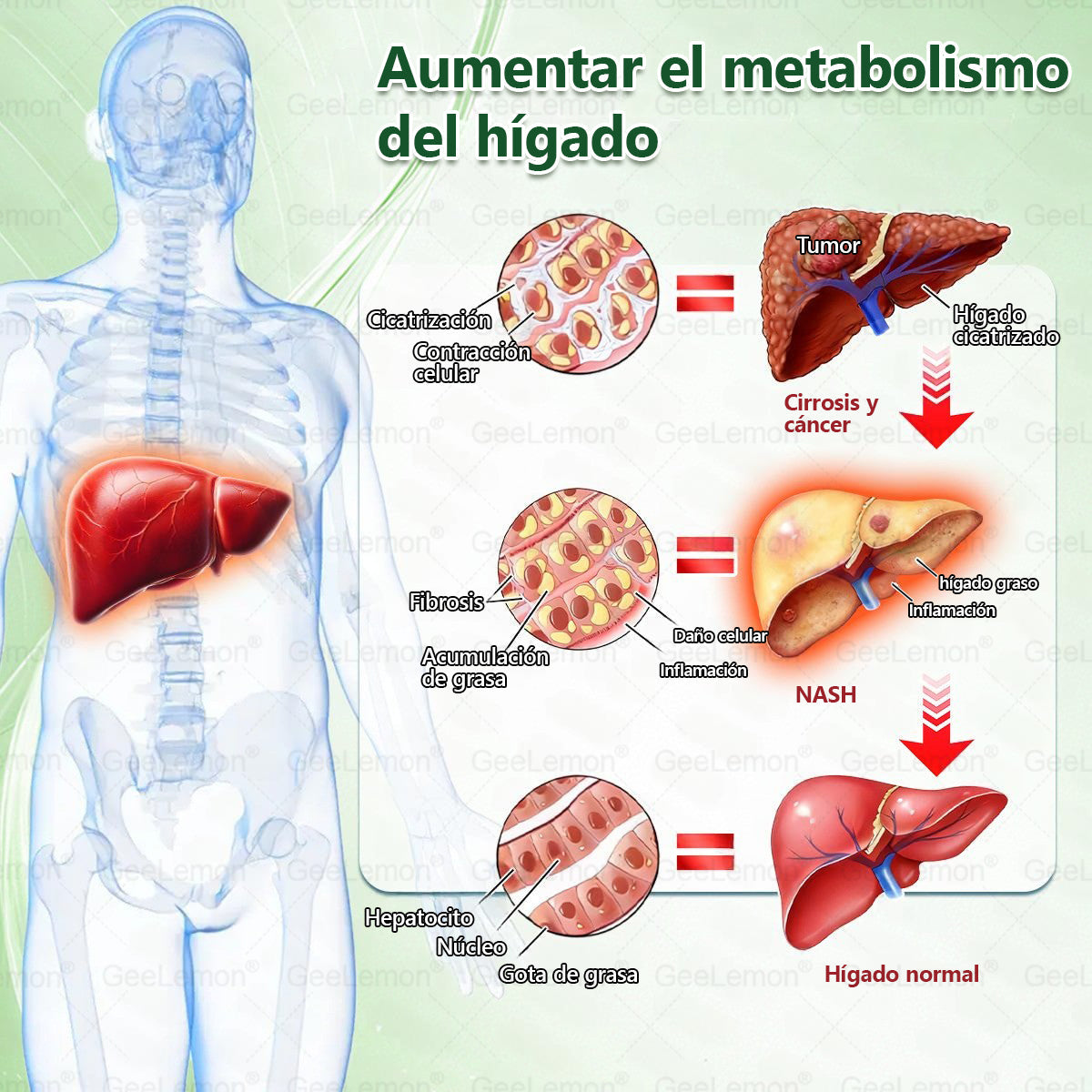 👇GeeLemon® tiene una mejora sorpresa solo para ti. Ya tenías una oferta increíble, pero ahora has desbloqueado una aún mejor: obtén un 50% de descuento en tu próxima compra, solo durante los próximos dos minutos.